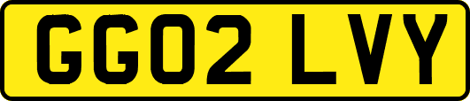 GG02LVY