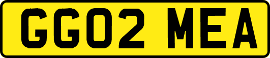 GG02MEA