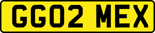 GG02MEX