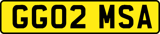 GG02MSA