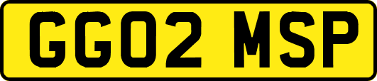 GG02MSP