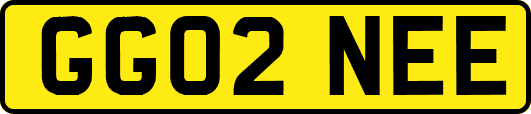 GG02NEE