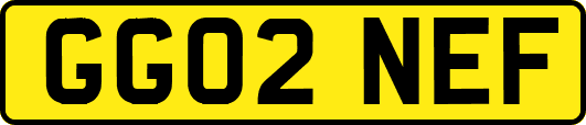 GG02NEF