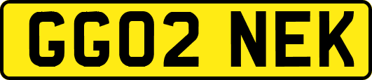 GG02NEK
