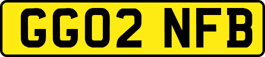 GG02NFB