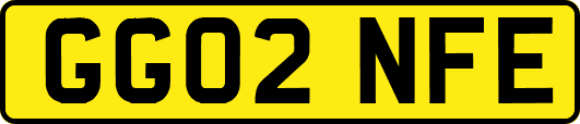 GG02NFE