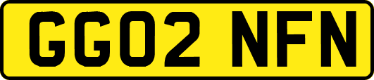 GG02NFN
