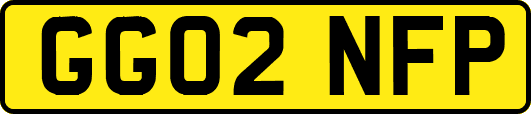 GG02NFP