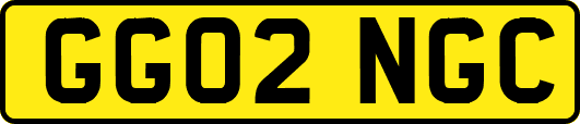 GG02NGC