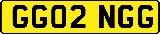 GG02NGG