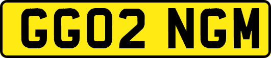 GG02NGM