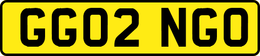 GG02NGO