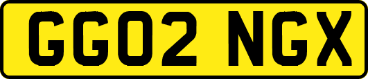 GG02NGX
