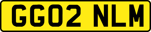 GG02NLM