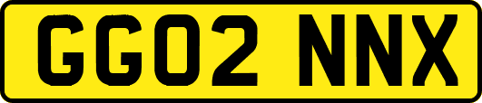 GG02NNX