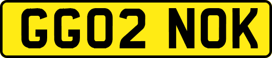 GG02NOK