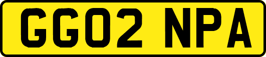 GG02NPA