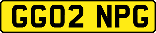 GG02NPG