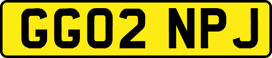 GG02NPJ