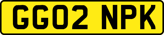 GG02NPK