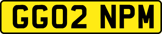 GG02NPM
