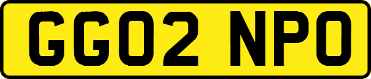 GG02NPO