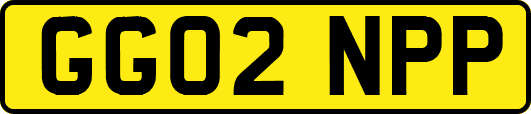 GG02NPP
