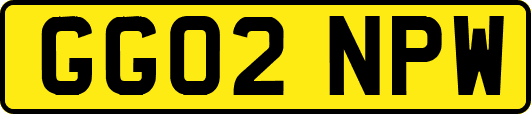 GG02NPW