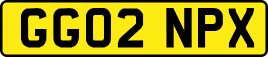 GG02NPX