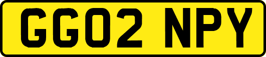 GG02NPY