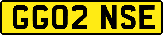 GG02NSE