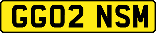 GG02NSM