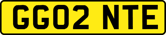 GG02NTE