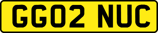 GG02NUC