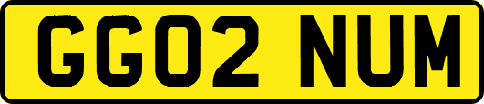 GG02NUM