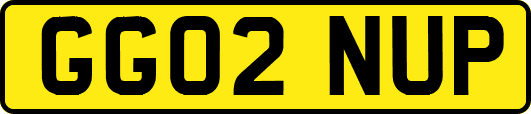 GG02NUP