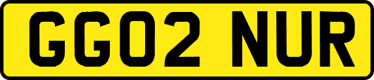 GG02NUR