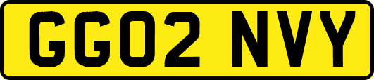 GG02NVY