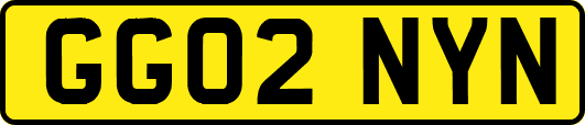 GG02NYN