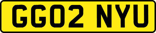 GG02NYU