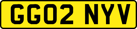 GG02NYV