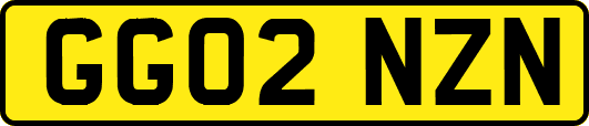 GG02NZN