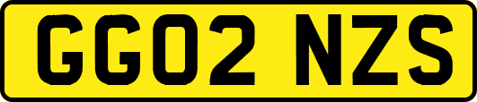 GG02NZS