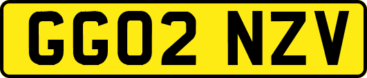 GG02NZV