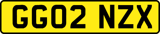 GG02NZX