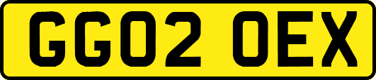 GG02OEX