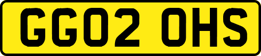 GG02OHS
