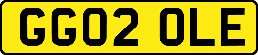 GG02OLE