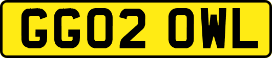 GG02OWL