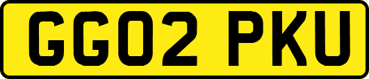 GG02PKU
